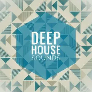Deep House Sounds logo